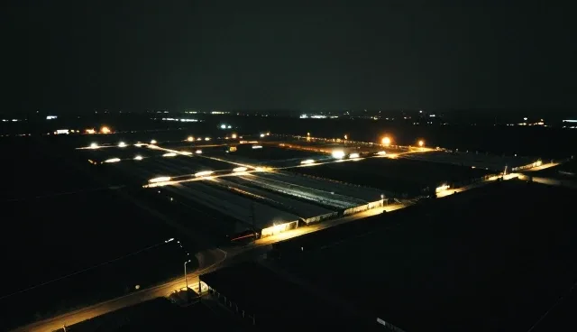 技术咨询在多行业应用场景中的实际运用分析